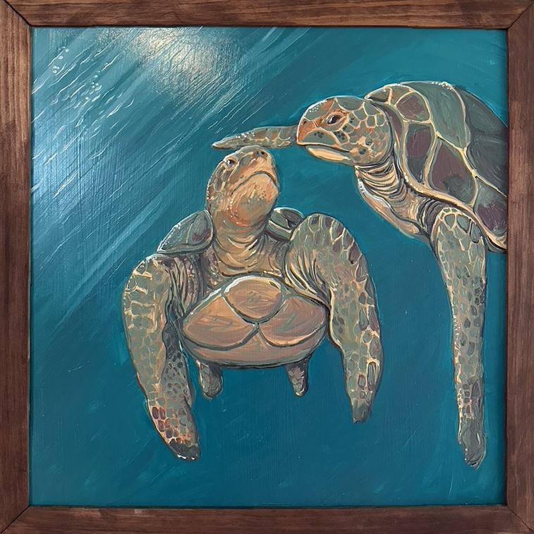 Sea Turtle Study